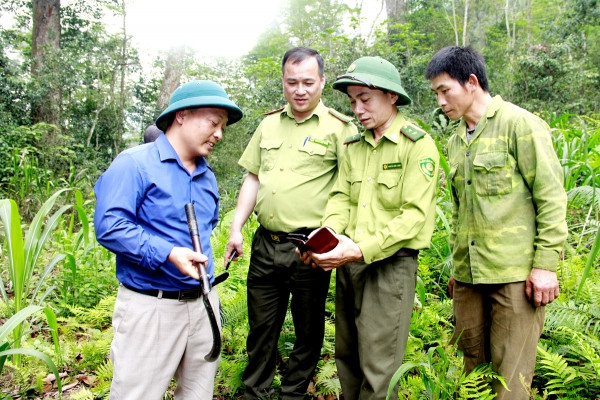 Quản lý, bảo vệ rừng trên không gian số