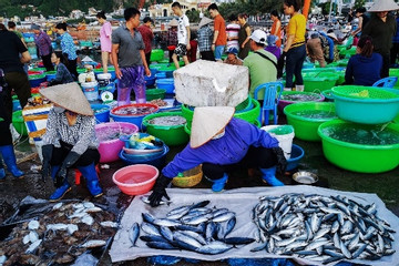 Quyết liệt phòng chống IUU, bảo vệ nguồn lợi thuỷ sản