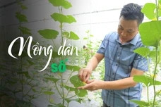 Giám đốc của những 'nông dân số' ở Lào Cai