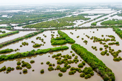 Giữ nguyên diện tích khu bảo tồn thiên nhiên đất ngập nước Tiền Hải