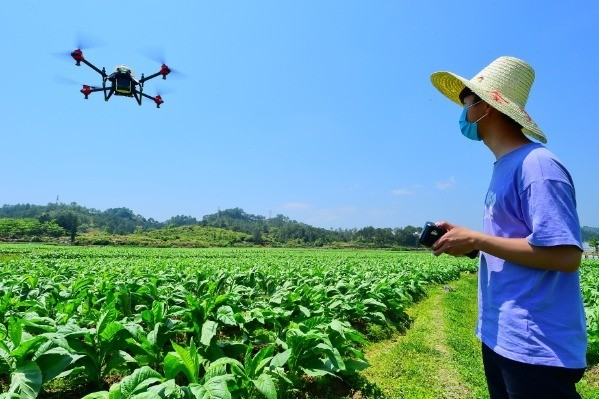 Thượng Hải muốn chuyển đổi vùng ngoại ô thành trang trại tự động không con người