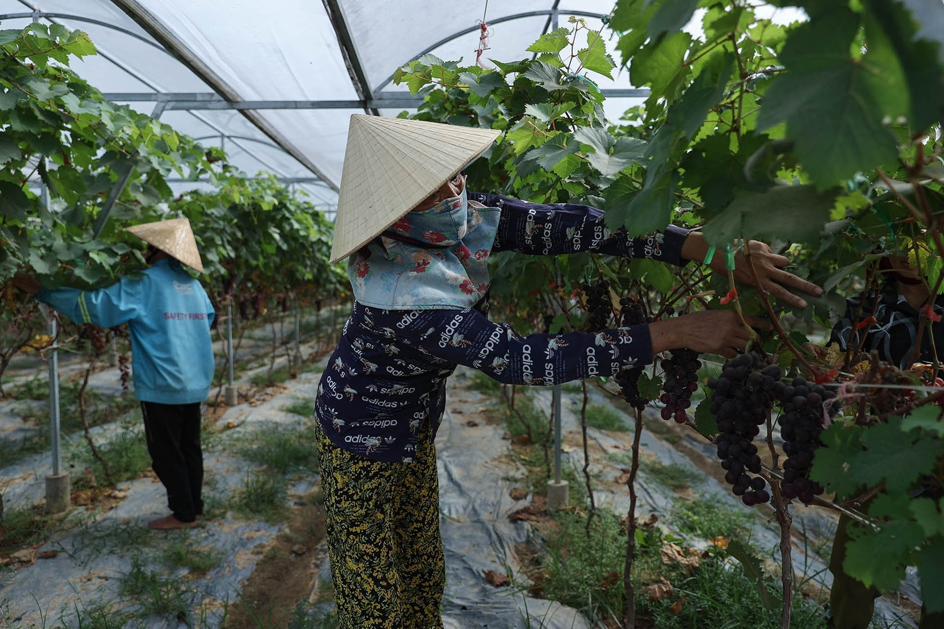 Yên Lạc chăm lo người nghèo, chú trọng 'trao cần câu hơn xâu cá'