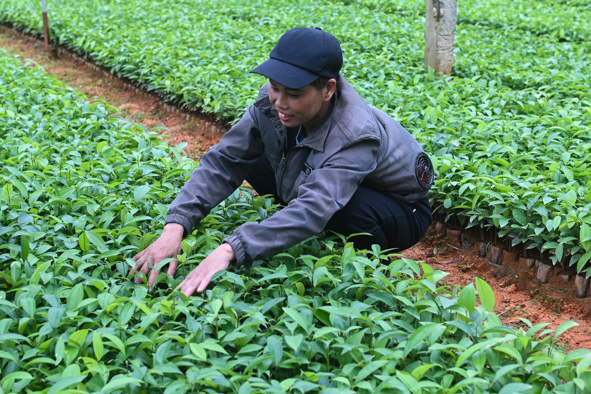 Thái Bình linh hoạt giải pháp hỗ trợ đa chiều thiếu hụt cho người nghèo