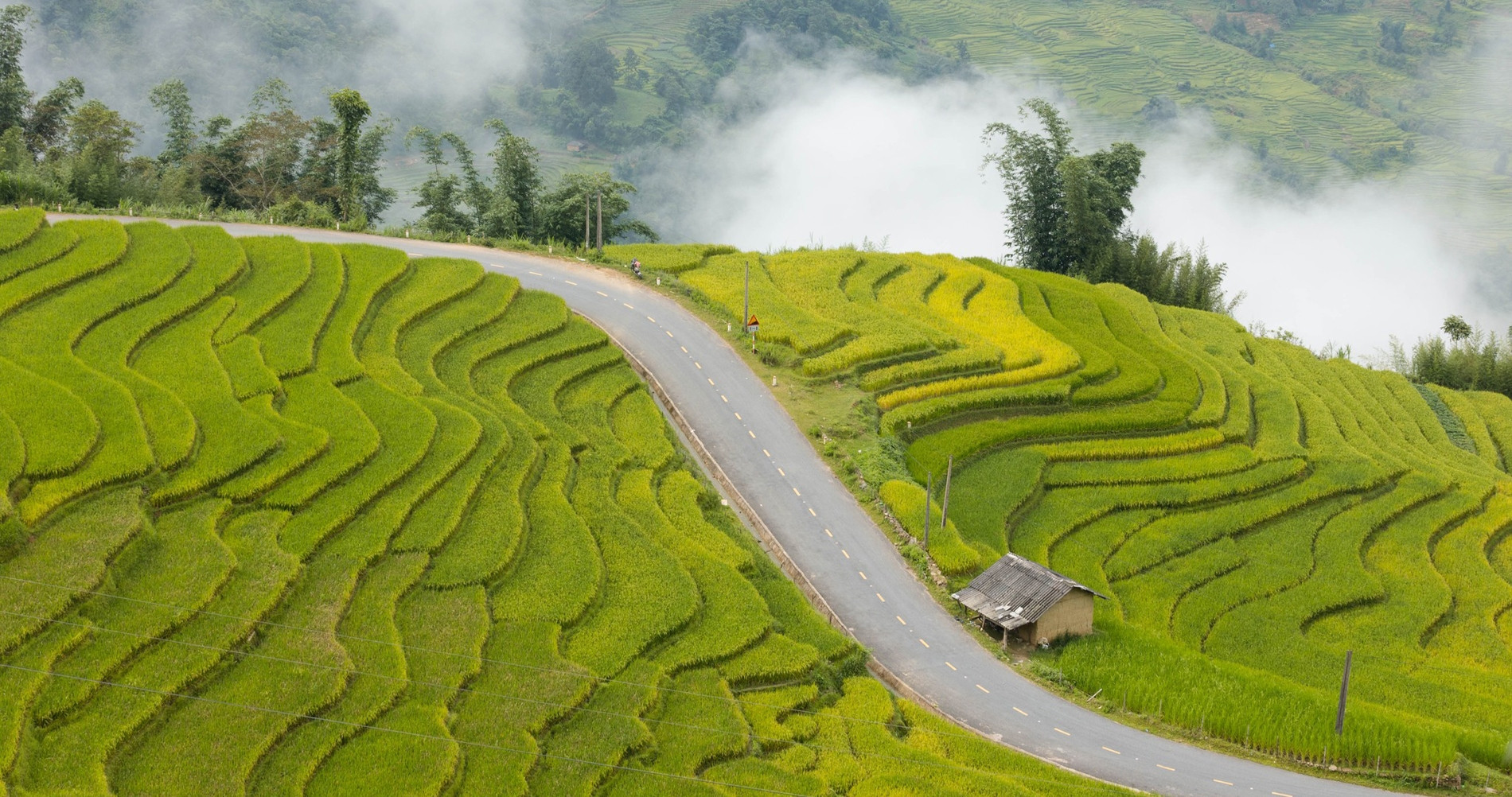 Cung đường ở Lào Cai mùa lúa chín gây sốt, khách ngỡ ‘chốn bồng lai’