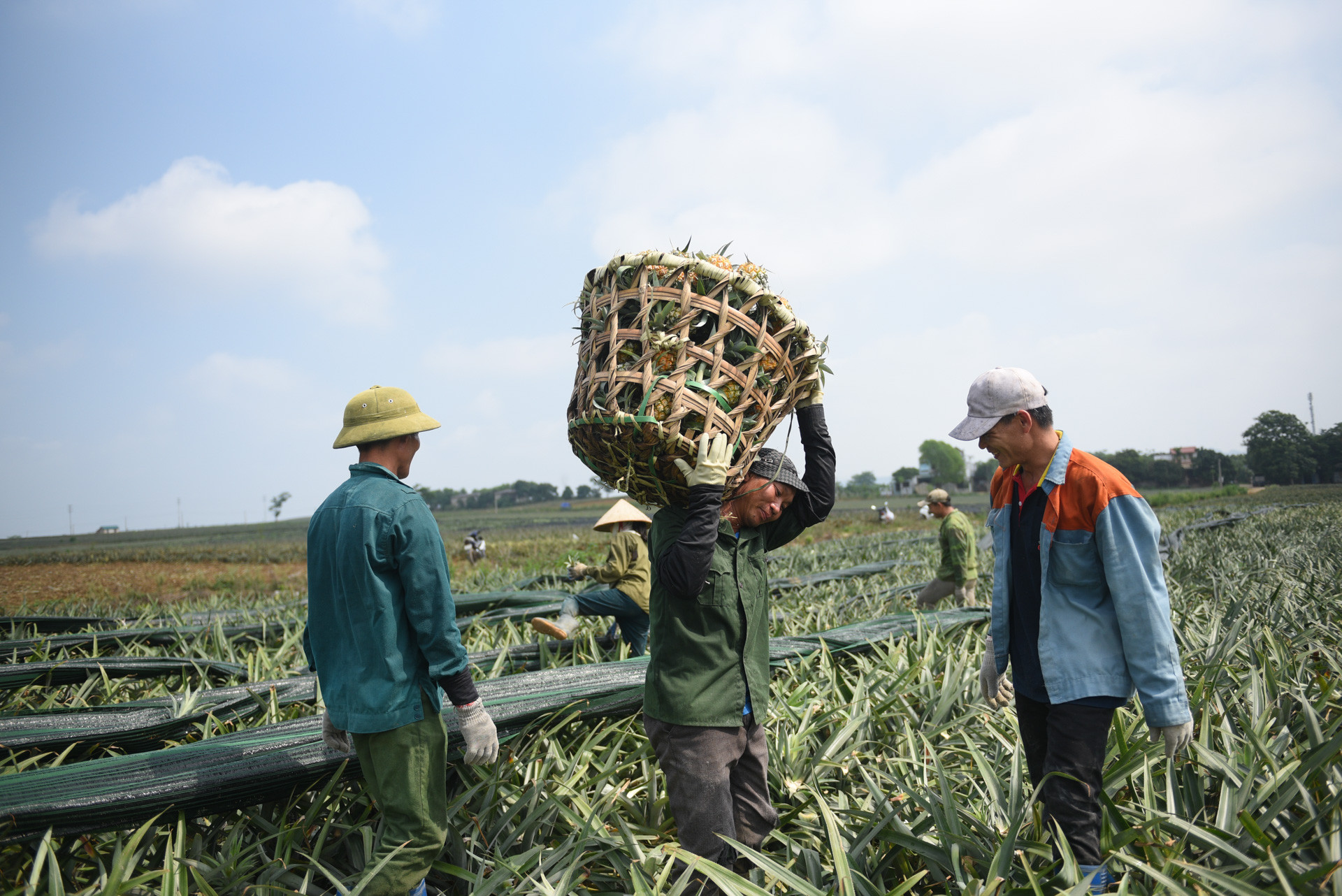 Gắn công tác giảm nghèo đa chiều, bền vững với xây dựng nông thôn mới kiểu mẫu