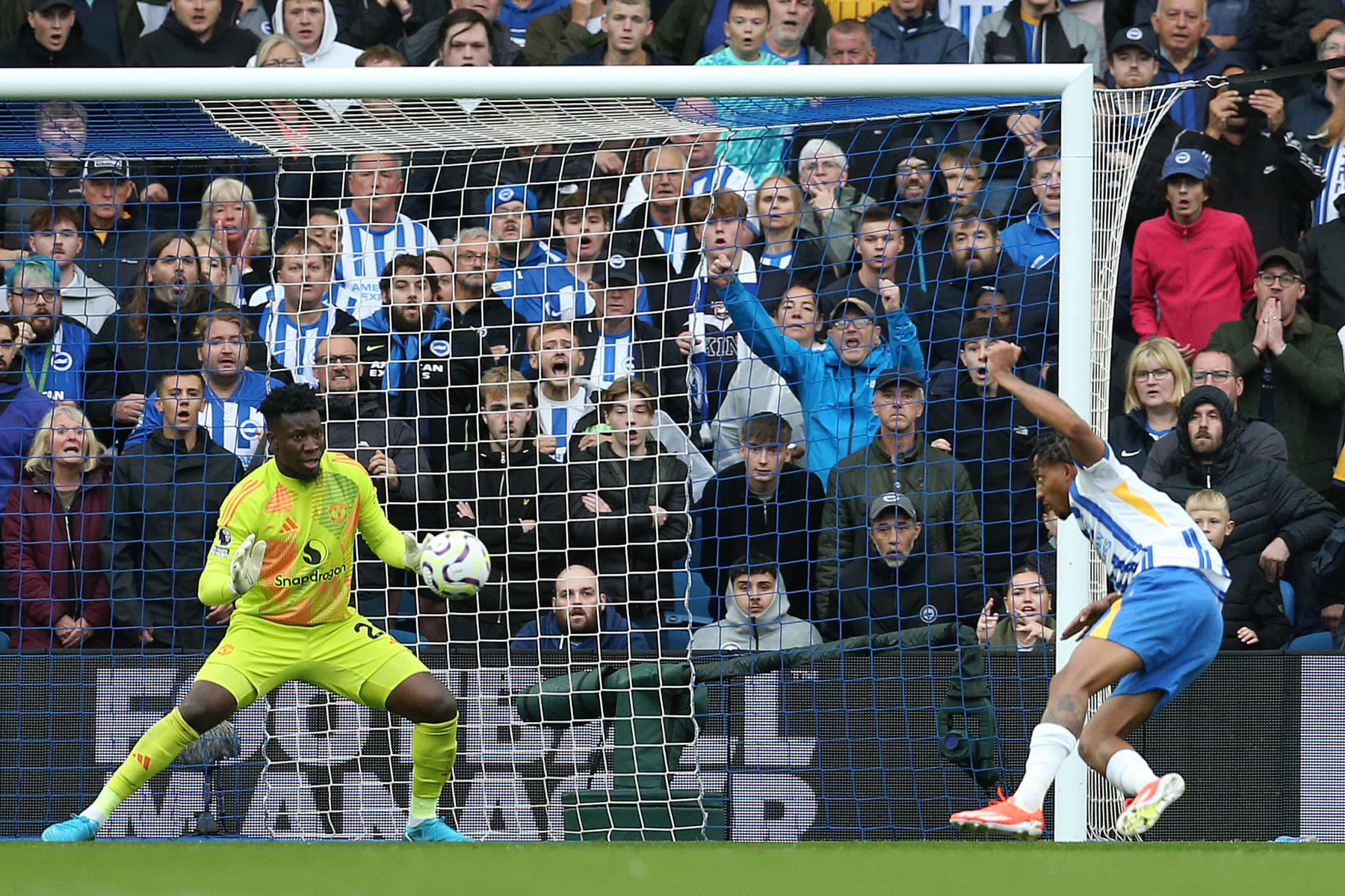 Joao Pedro Brighton MU.jpg