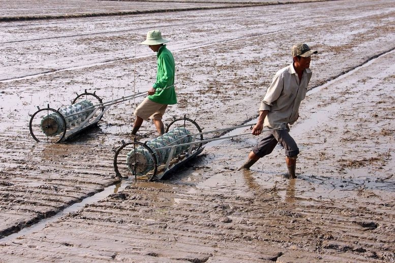 ‘Kho vàng’ chục triệu tấn bị vùi trong bùn vì thói quen xấu