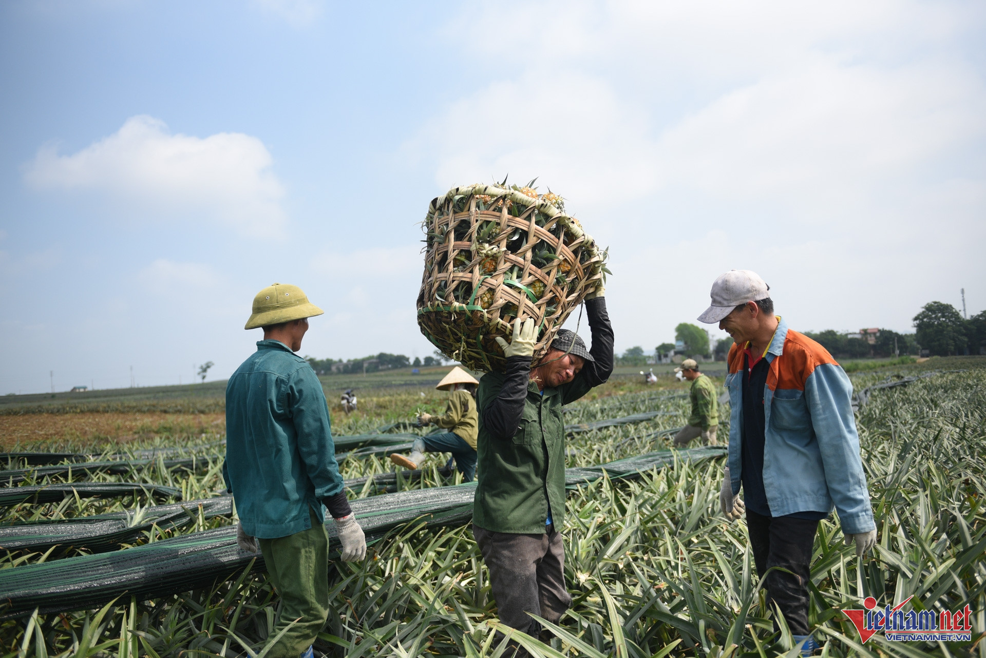 W-Giảm nghèo  .jpg