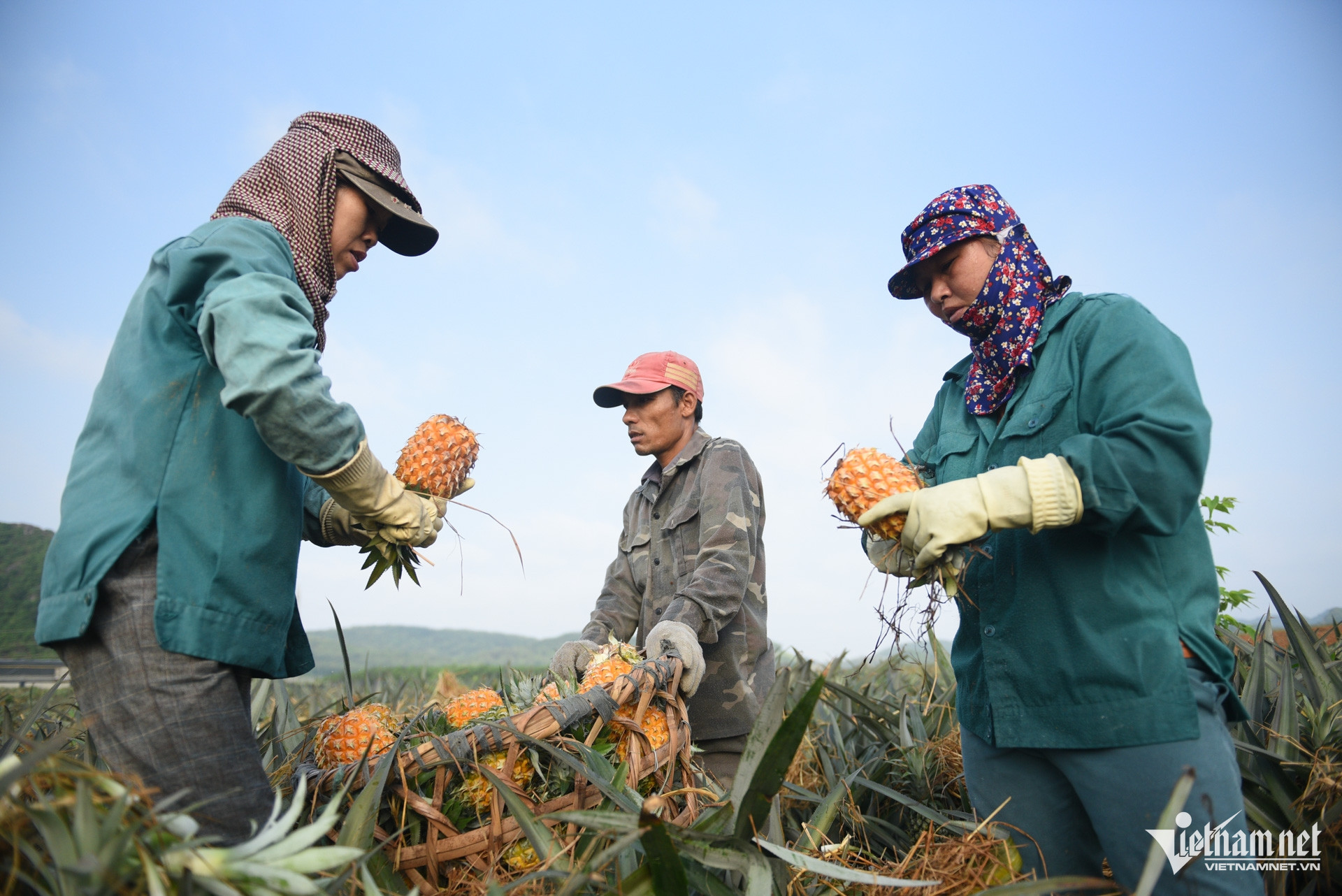 W-Giảm nghèo   Thạch Thảo (28).jpg