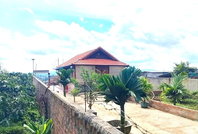 Đánh bạc quy mô lớn.jpg