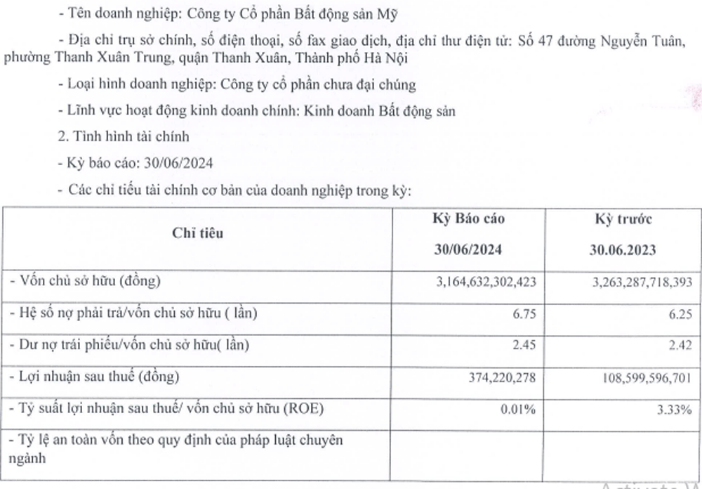 batdongsanMy TNRHoldings.gif