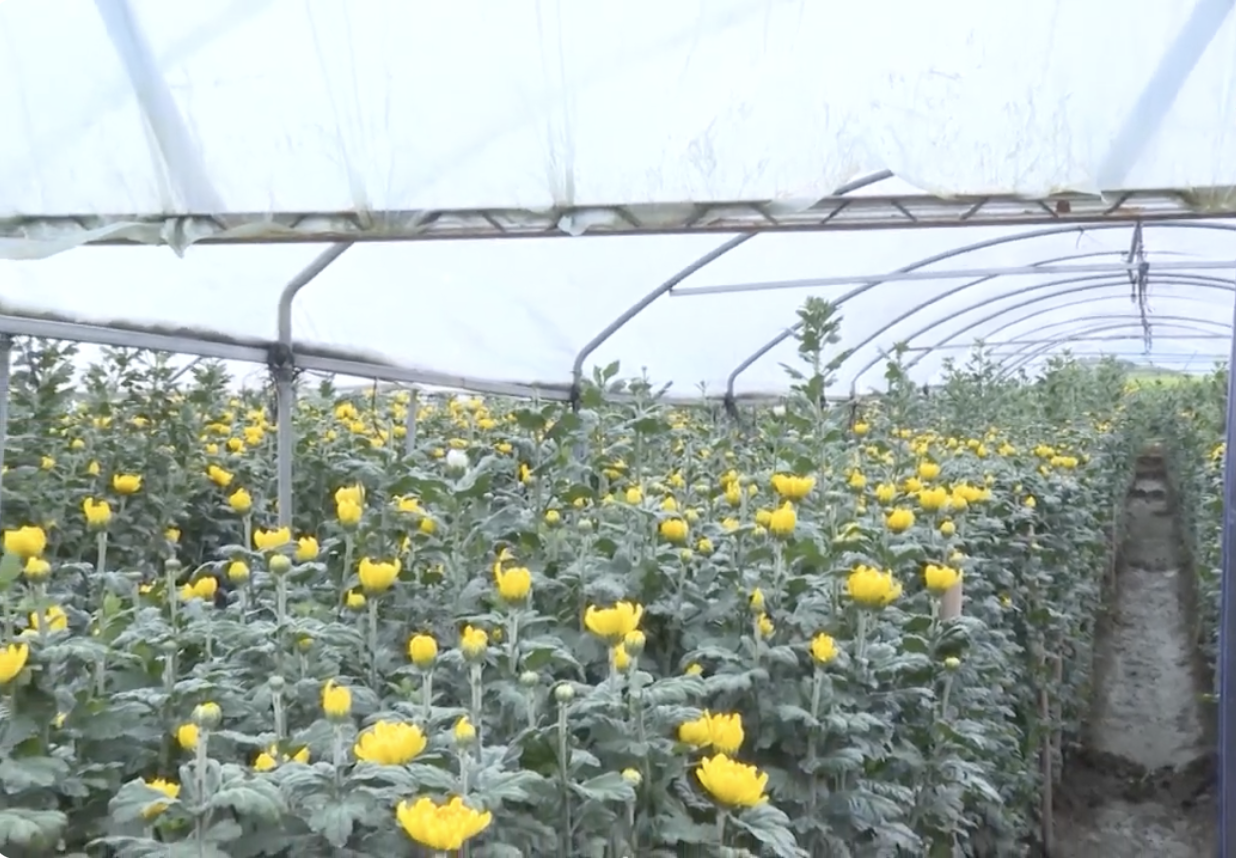 Lào Cai lồng ghép thực hiện chuyển đổi số trong xây dựng nông thôn mới