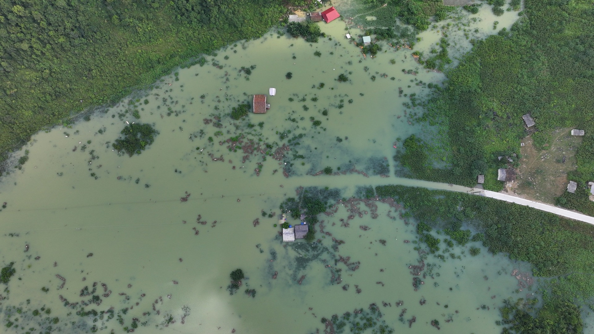 quang vinh trùng khánh (1).jpg