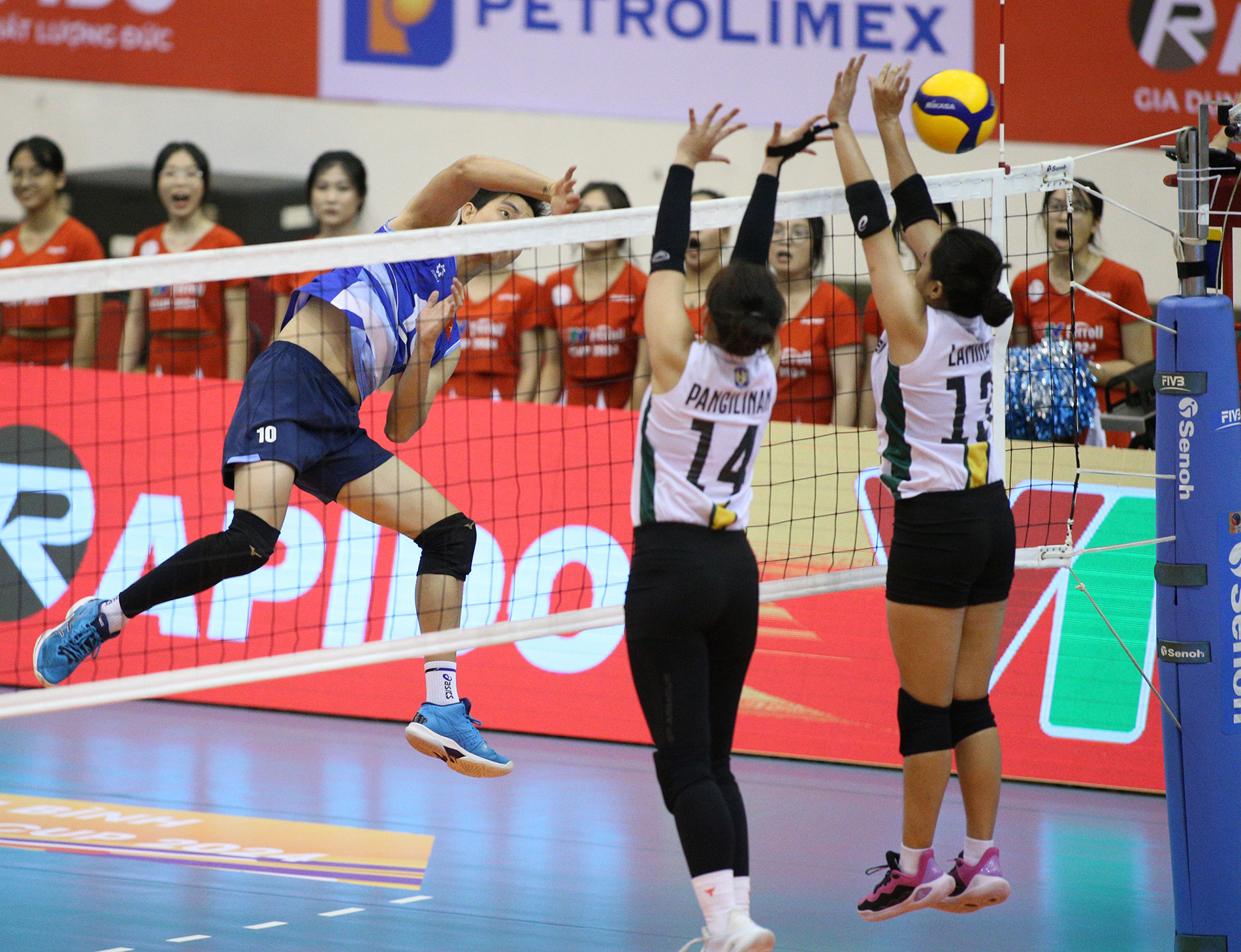 tuyen bong chuyen nu viet nam vtv cup 3.JPG