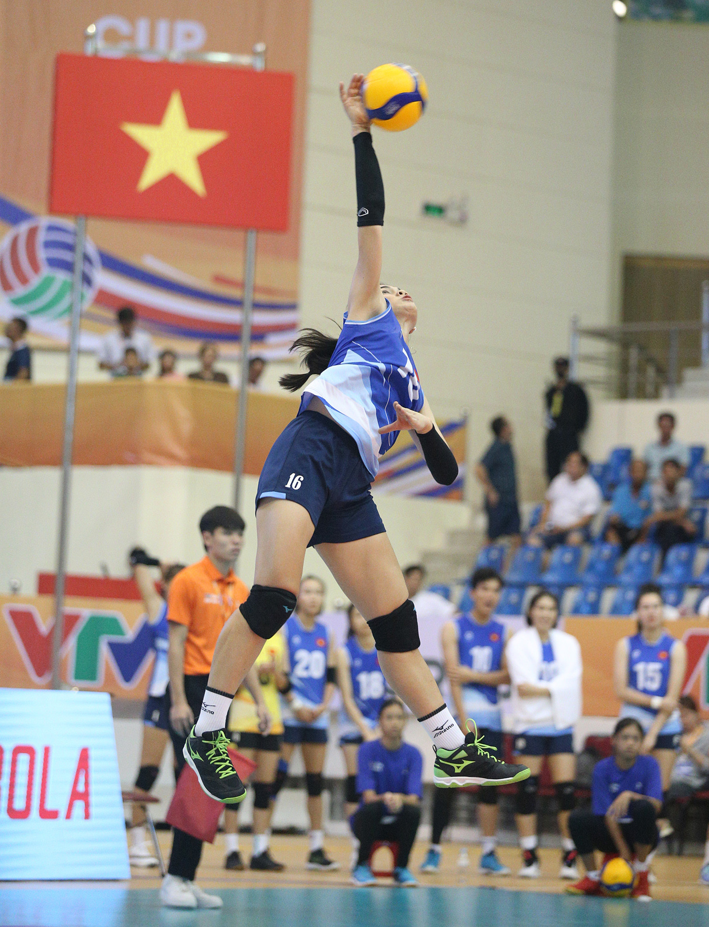 tuyen bong chuyen nu viet nam vtv cup 7.JPG