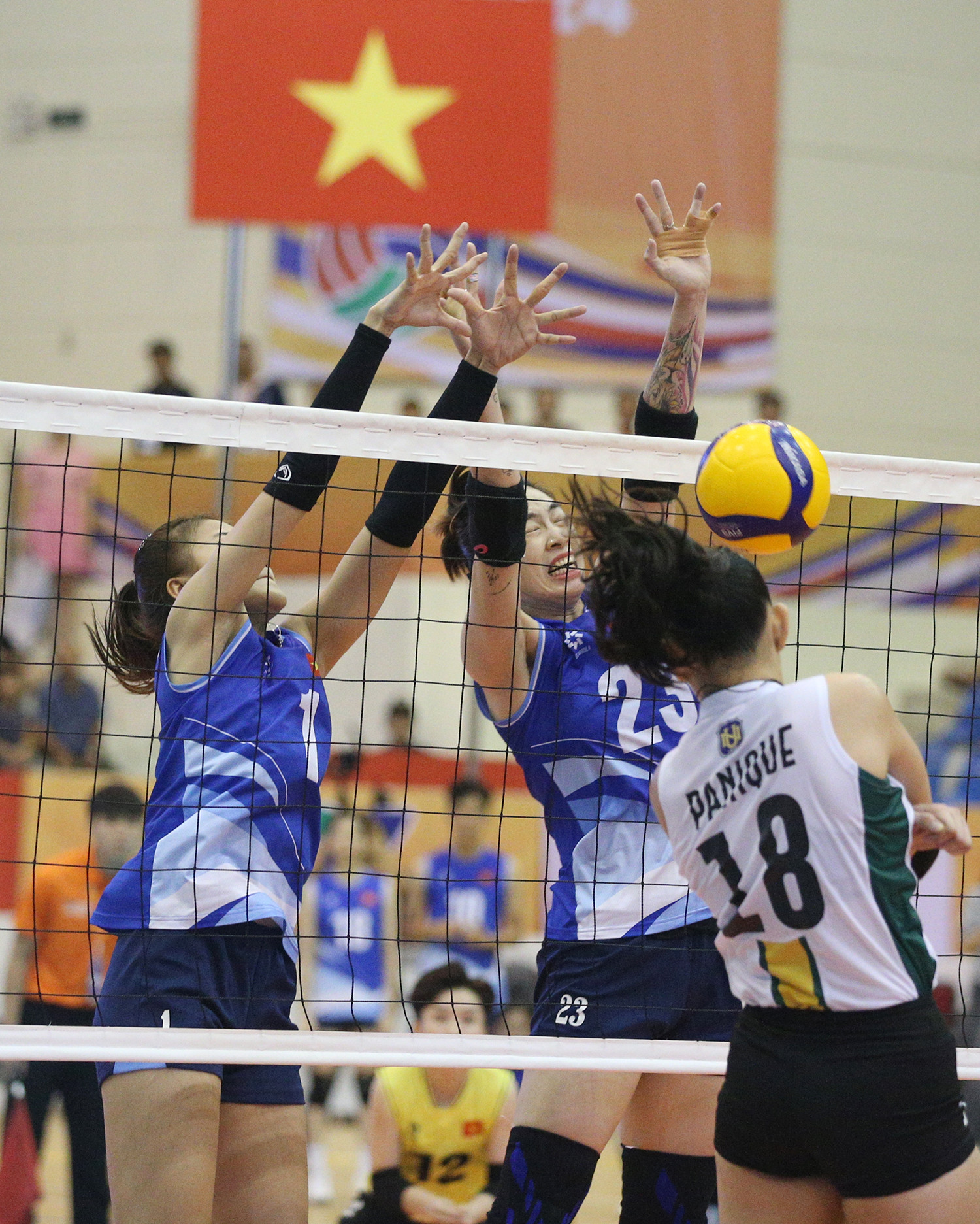 tuyen bong chuyen nu viet nam vtv cup 8.JPG