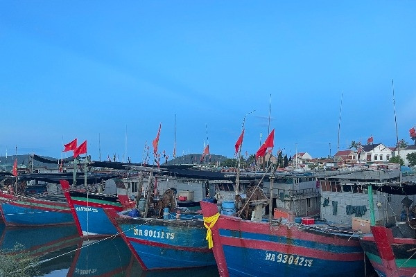 Xử lý triệt để các hành vi khai thác IUU để ngành thuỷ sản phát triển bền vững