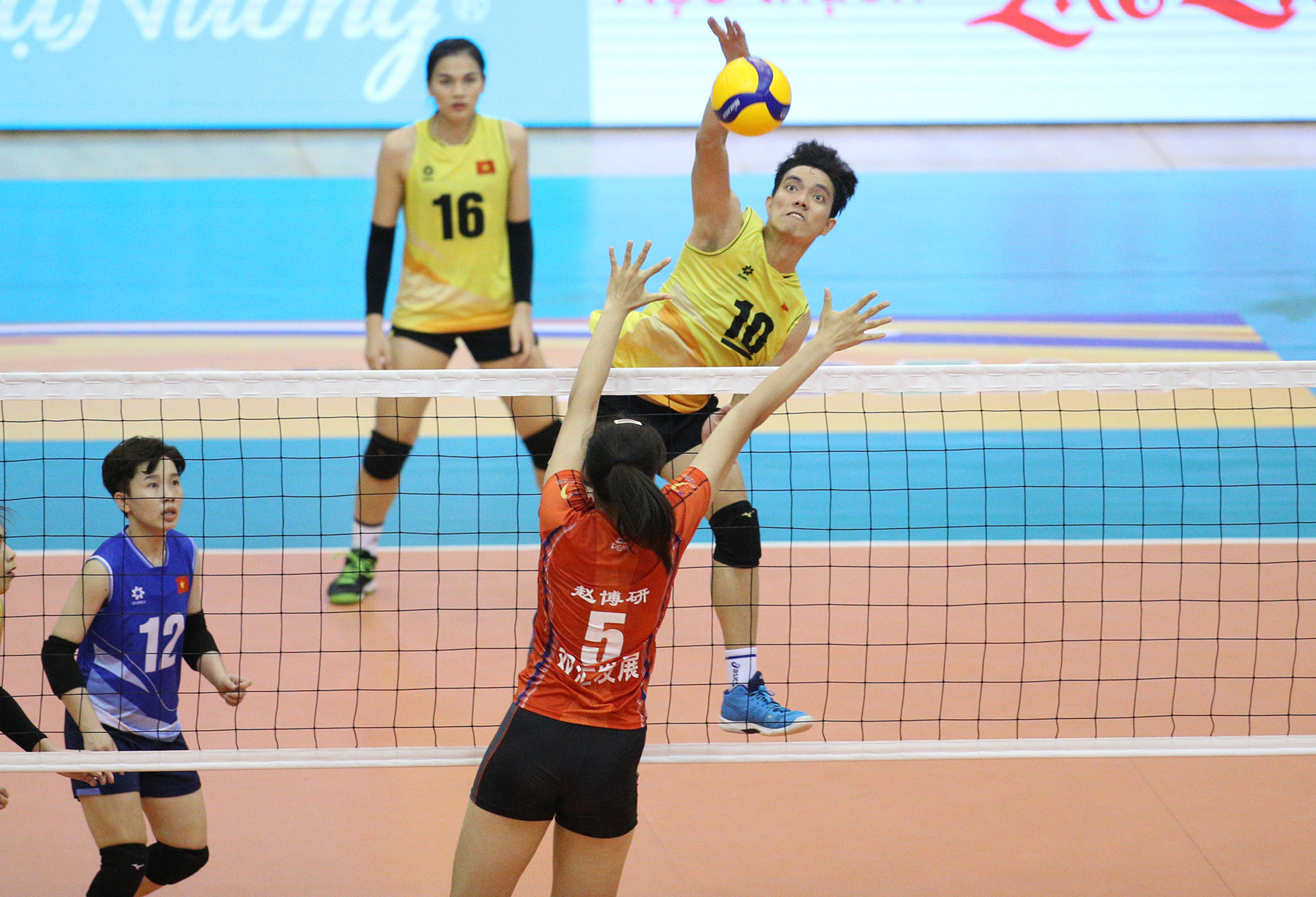 chuyen nu viet nam vtv cup 11.JPG