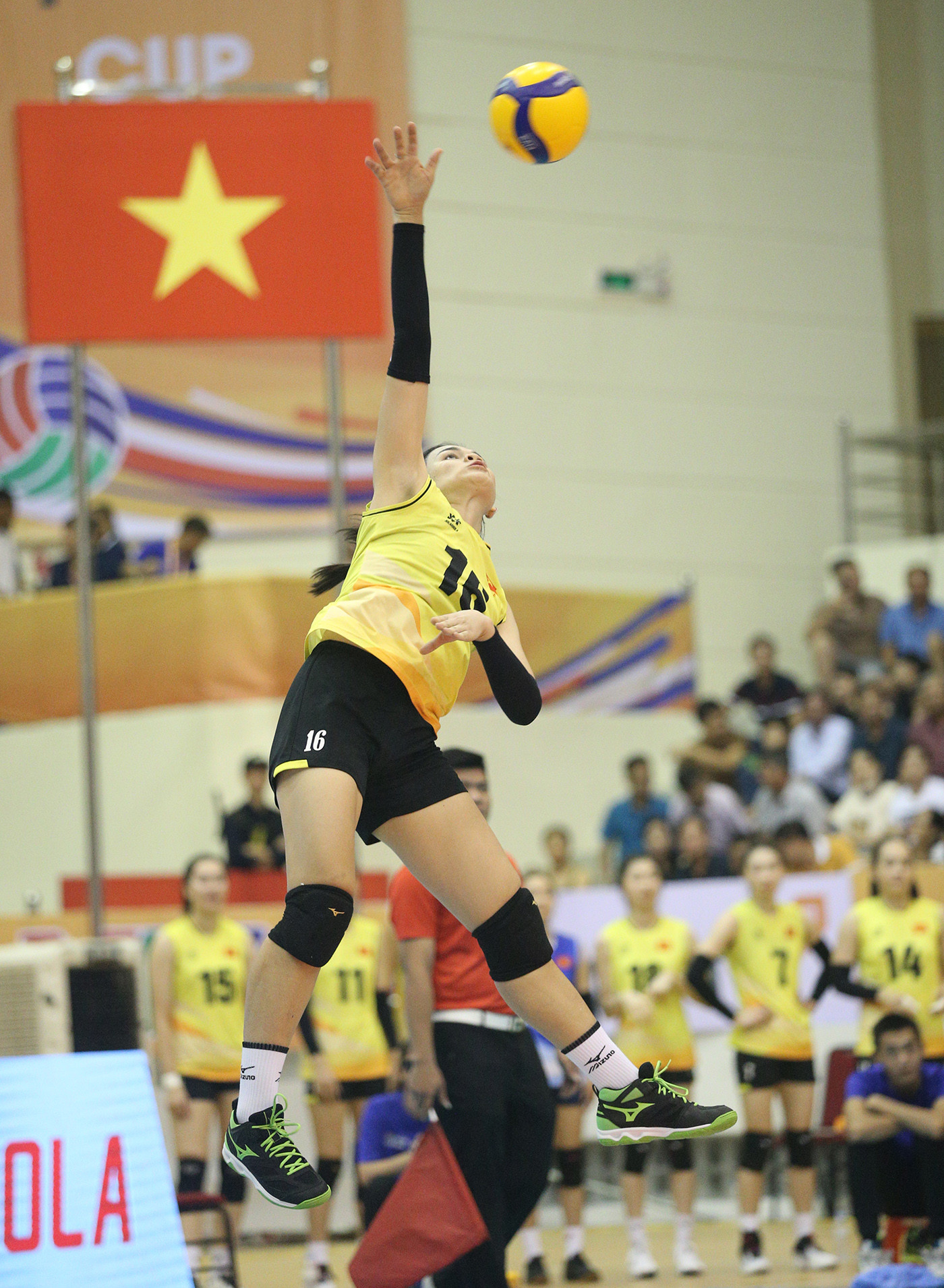 chuyen nu viet nam vtv cup 4.JPG