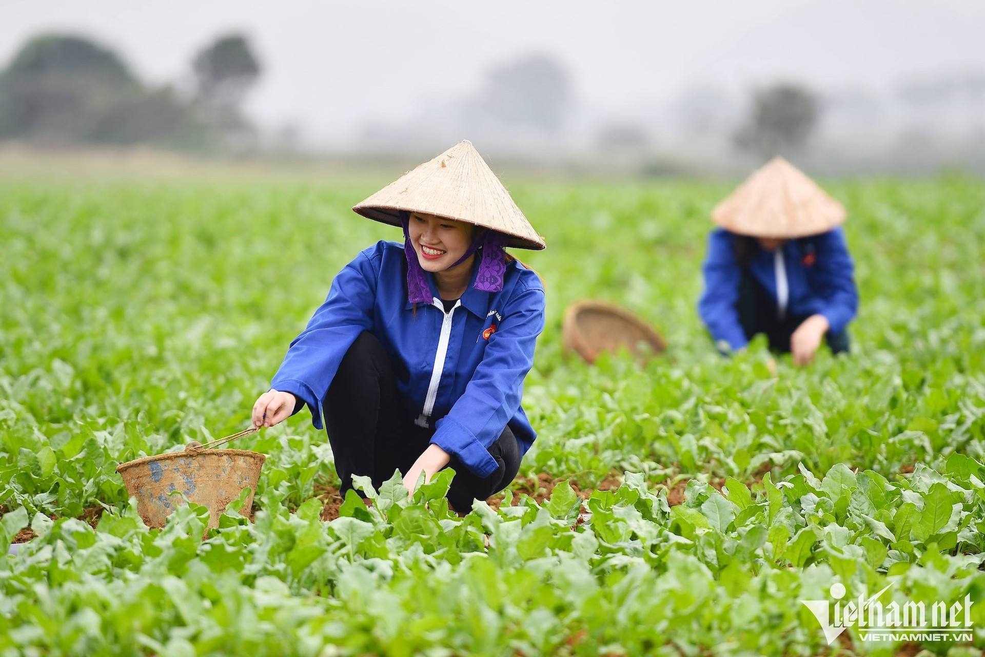 Quan tâm chỗ ở, việc làm, sinh kế cho người nghèo