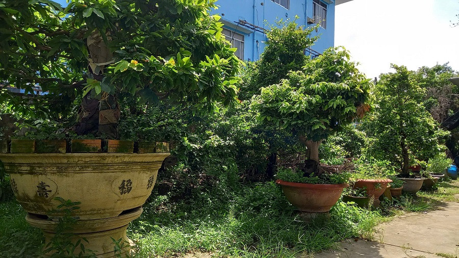 yêu cầu mở lối đi (8).jpg