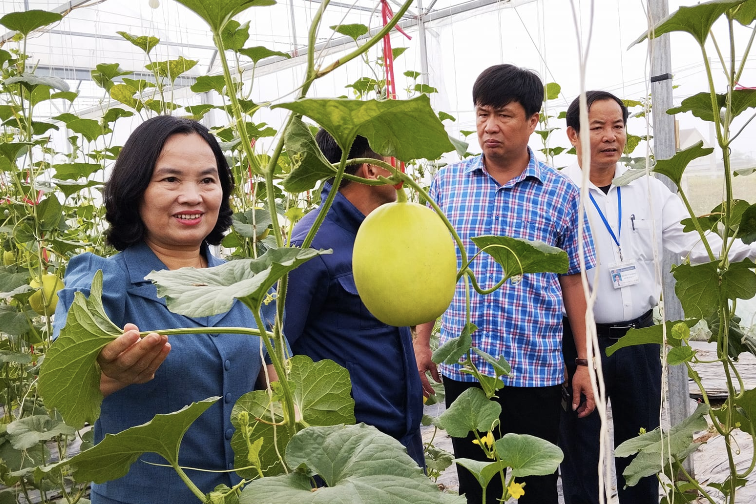 3 'chiêu' để hạn chế doanh nghiệp 'bẻ kèo', nông dân chạy làng