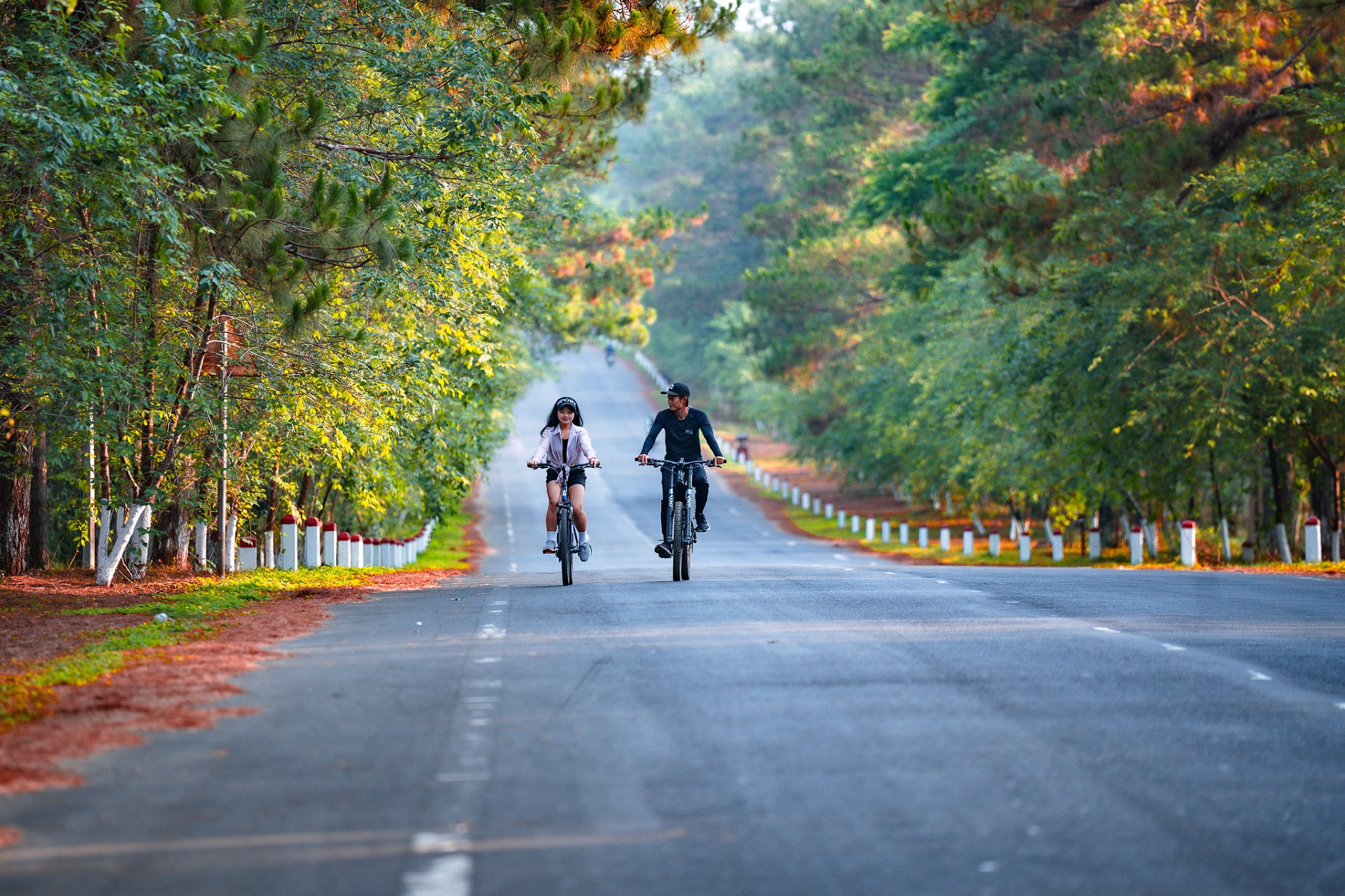 Lợi ích của rong nho cho phụ nữ mang thai