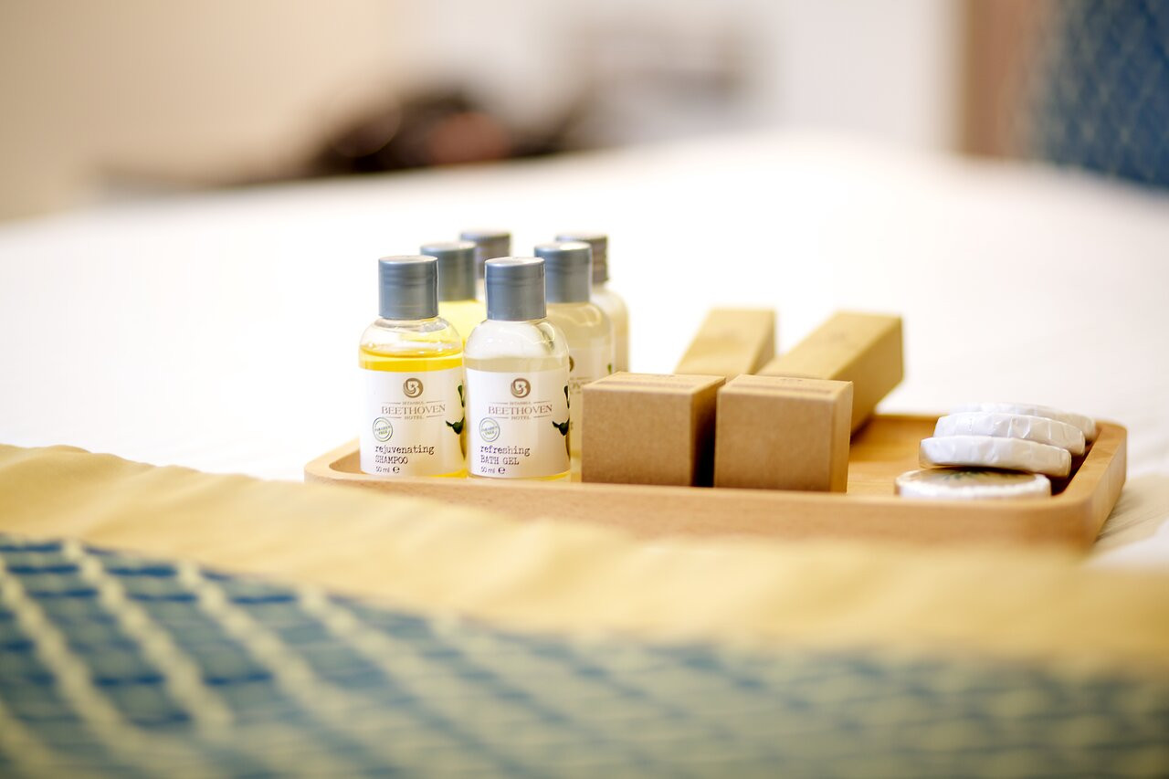 beethoven premium hotel.jpg