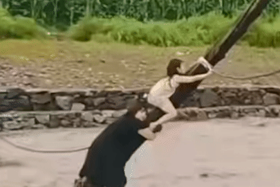 Giải cứu 2 mẹ con bám vào cột điện khi ô tô bị lũ quét cuốn trôi