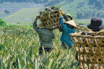 Hoa Lư quyết tâm xây sửa nhà ở cho người nghèo trước mùa mưa bão