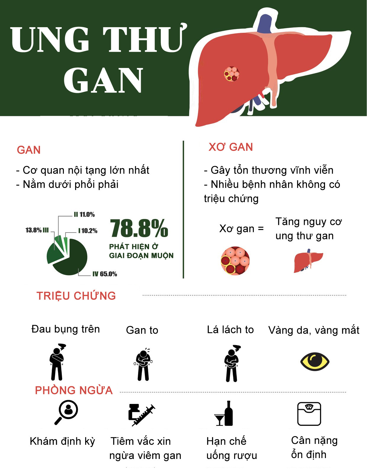 Ung Thư Gan Có Đau Không? Triệu Chứng Và Cách Giảm Đau Hiệu Quả