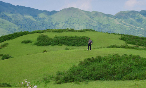 'Đà Lạt thu nhỏ' cách Hà Nội 100km, khách tới săn mây, cắm trại giữa rừng