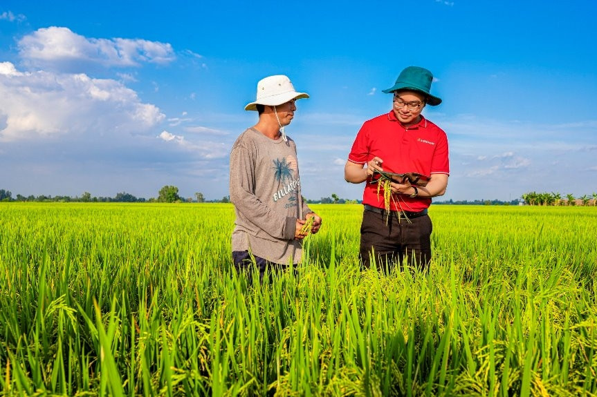 Agribank cung ứng vốn tín dụng phát triển 1 triệu ha lúa chất lượng cao