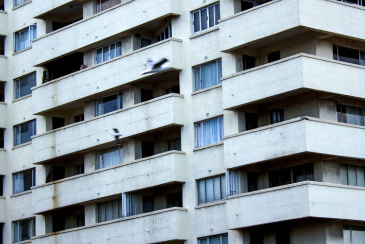 apartment fall.jpg