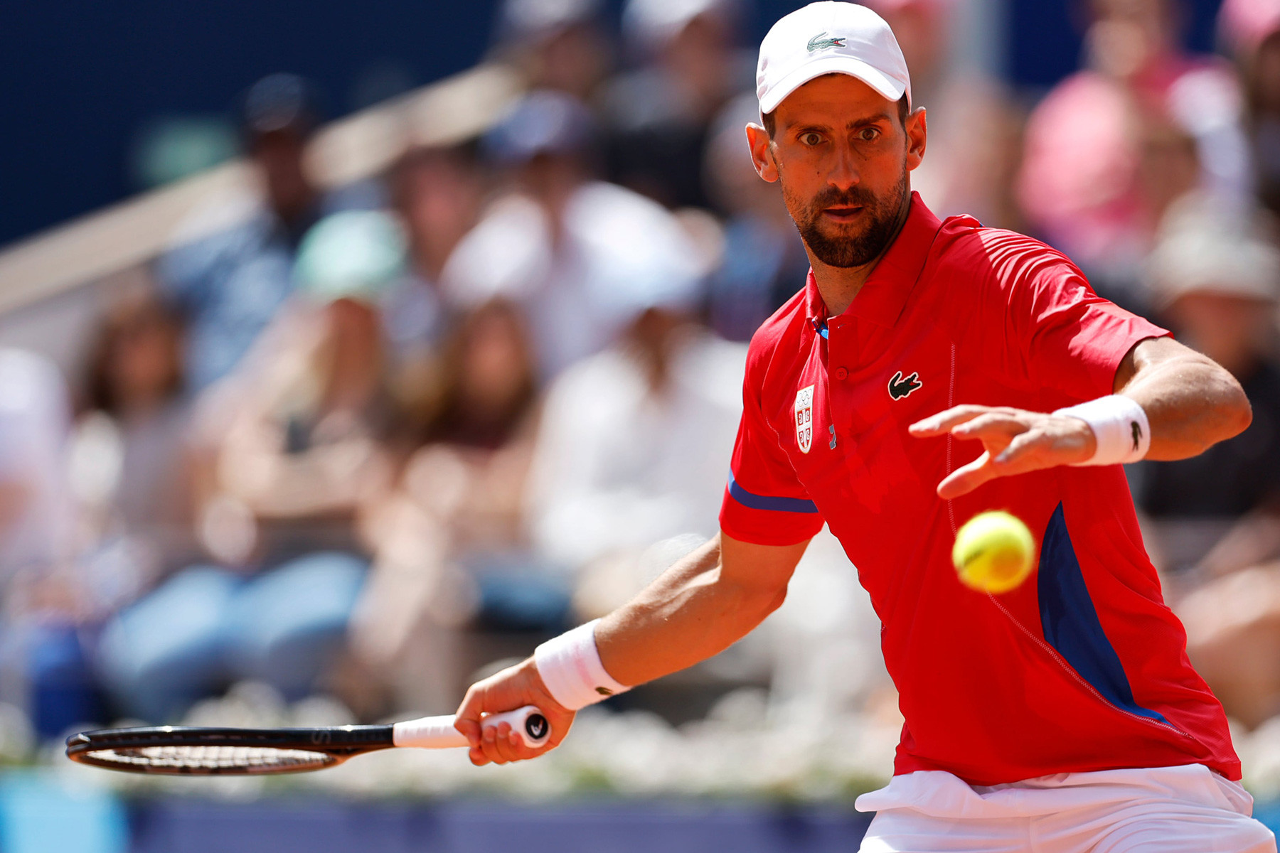 Djokovic Alcaraz Paris 2024.jpg