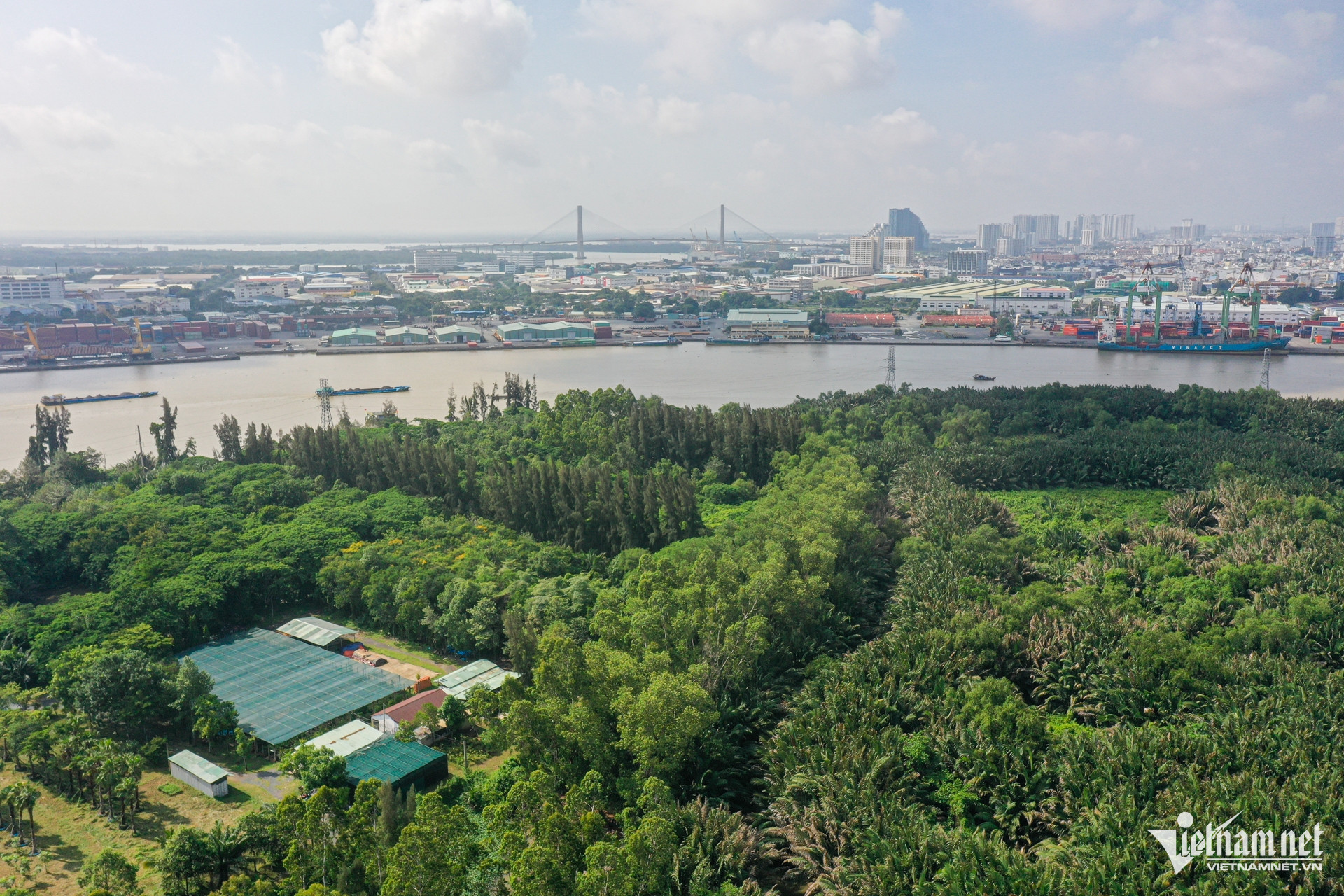 W-thủ thiêm 15.jpg