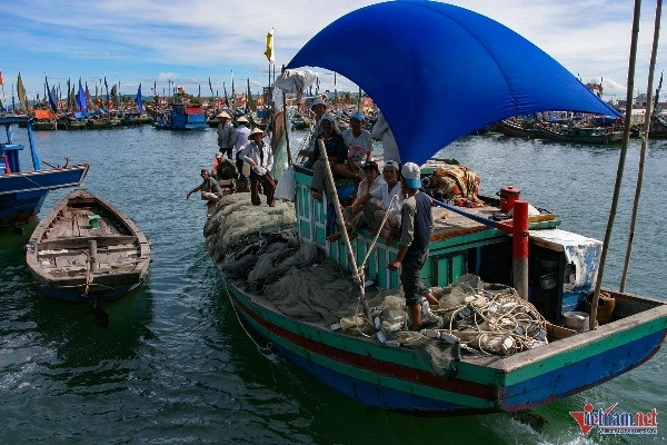 Bình Định quyết liệt các giải pháp phòng chống khai thác hải sản bất hợp pháp