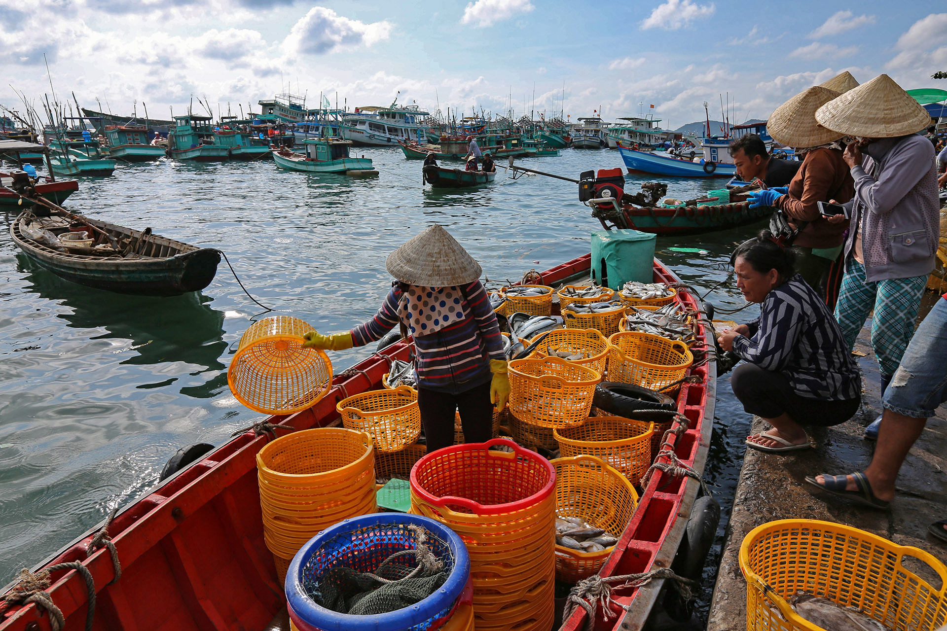 Cảng cá An Thới Phú Quốc, KIên Giang (used).JPG.jpg