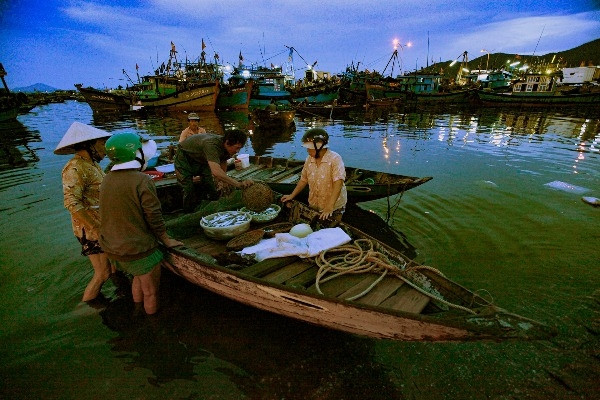 Duyên hải miền Trung: Bảo tồn biển góp phần phát triển bền vững kinh tế biển