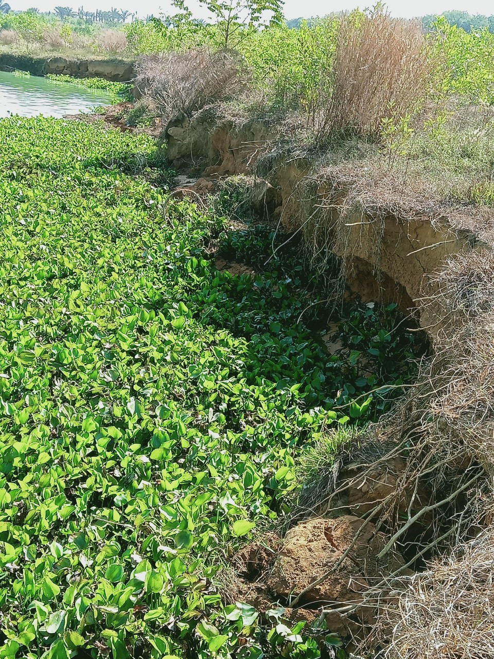 hút cát hồ Dầu Tiếng (4).jpg