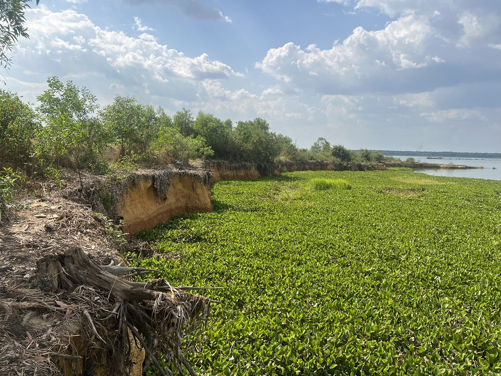 hút cát hồ Dầu Tiếng (6).jpg