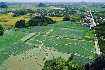 Ninh Bình tập trung phát triển du lịch gắn với xây dựng nông thôn mới