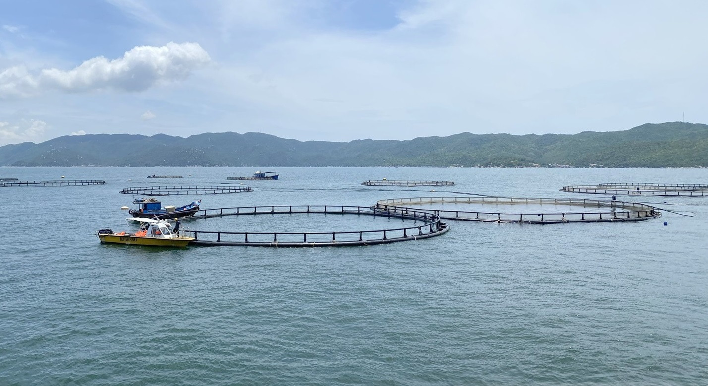 nuôi biển ninh thuận.jpg