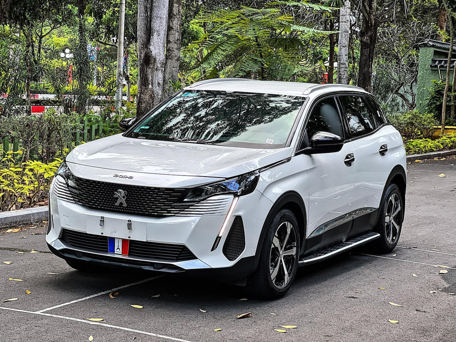 peugeot 3008 cu 13.jpg