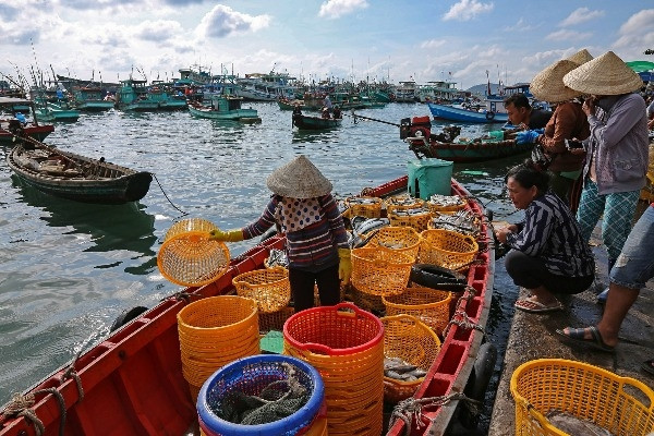 Phát huy lợi thế, Trần Đề phát triển thành trung tâm kinh tế biển của Sóc Trăng