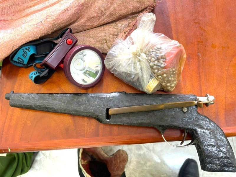 Đốt nhà em gái 2.jpg