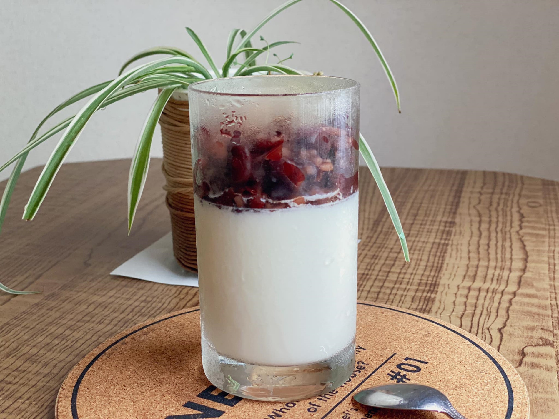 ảnh 4   sữa chua đậu đỏ   thảo nguyên.jpg