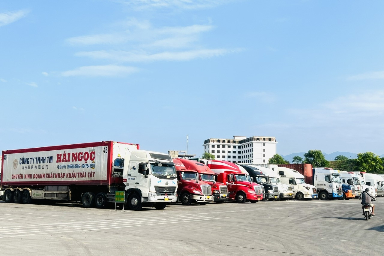 Công nghệ số mở đường xuất khẩu sang thị trường tỷ dân