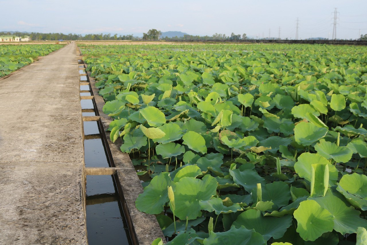 môi trường 3.JPG