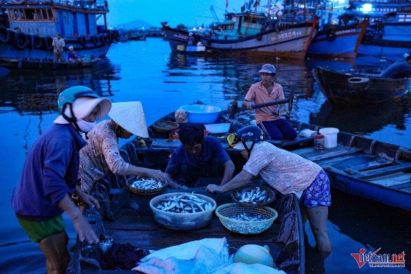 Ninh Thuận: Thủy sản tăng trưởng mạnh đóng góp lớn cho phát triển kinh tế biển